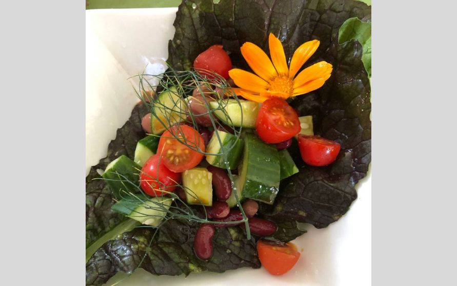 How to Detox and Recharge with Vegan Meals