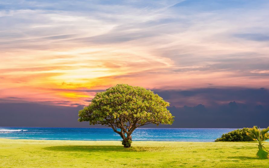 What is energy healing