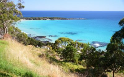 Meditation Retreat in Tasmania: Stress Relief in Tranquil Nature