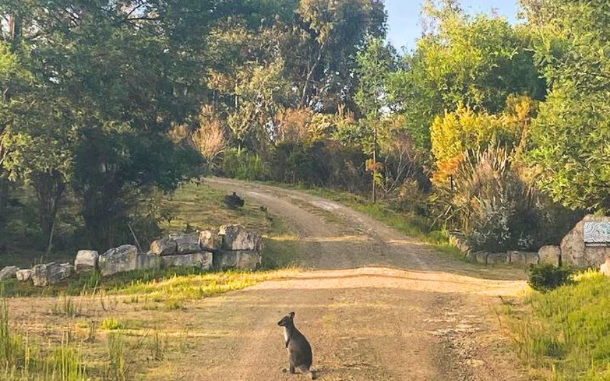 Nourishing Your Soul at a Wellness Retreat in Tasmania