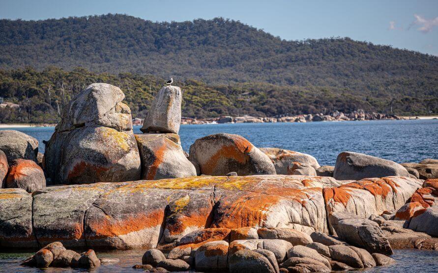 Retreat Tasmania