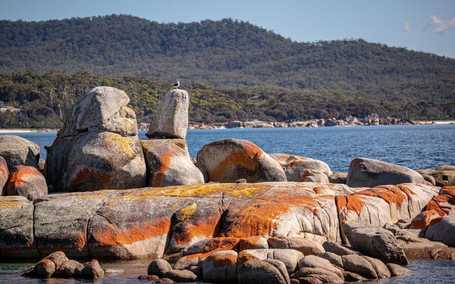 How to Find Happiness at a Meditation Retreat in Tasmania