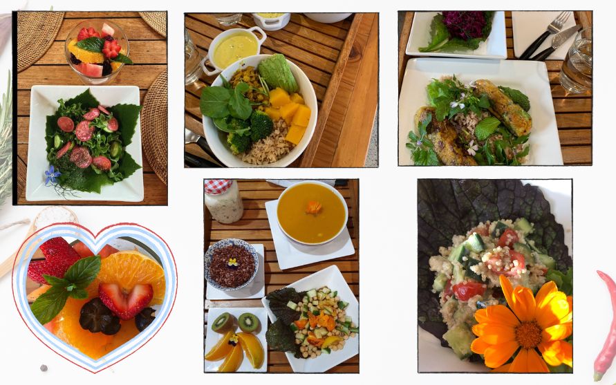 Vegan Meals by Harmony Hill Health Retreat