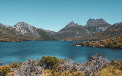 Embrace Healing: Why Tasmania Hosts Australia’s Best Wellness Escape