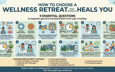 How to Choose a Wellness Retreat