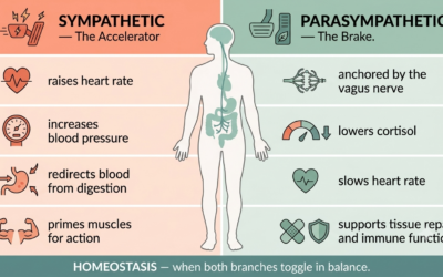 How to Reset Your Parasympathetic Nervous System in a Week: A Science-Backed Guide