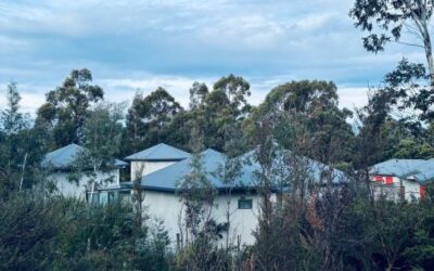Wellness Retreat Tasmania: Your 6-Day Reset